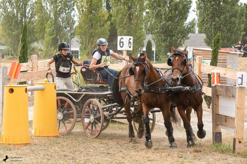 Compétion d'attelage d'Alixan