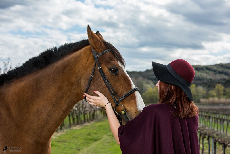 Séance photo cavalière cheval