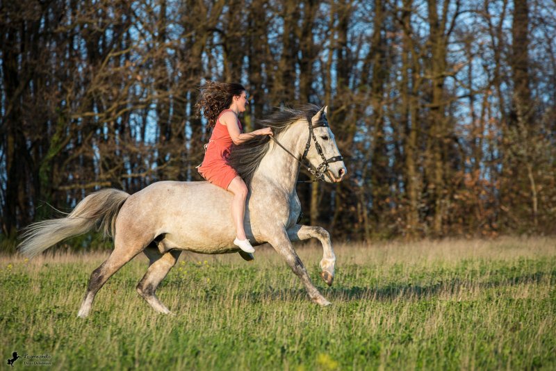 Séance photo cavalière cheval
