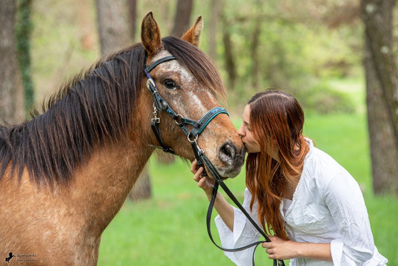 Séance photo cavalière cheval