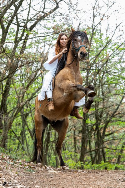 Séance photo cavalière cheval
