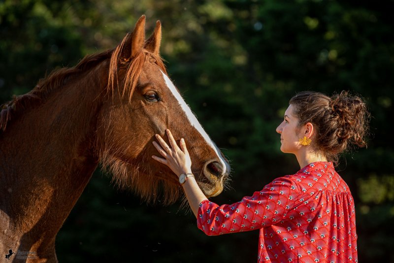 Séance cavalière cheval