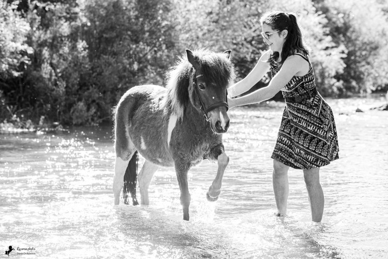 Photo de poney