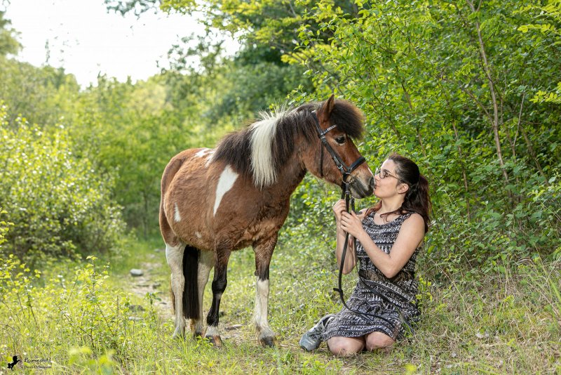 Photo de poney