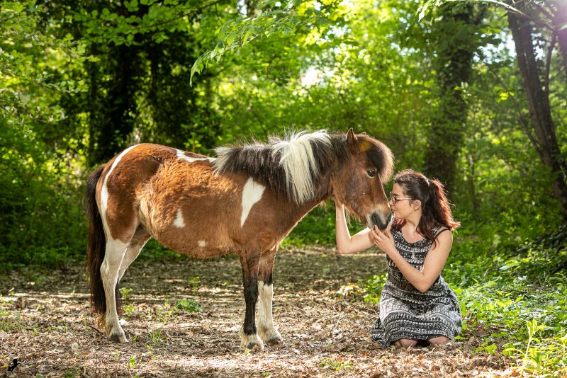 Photo de poney