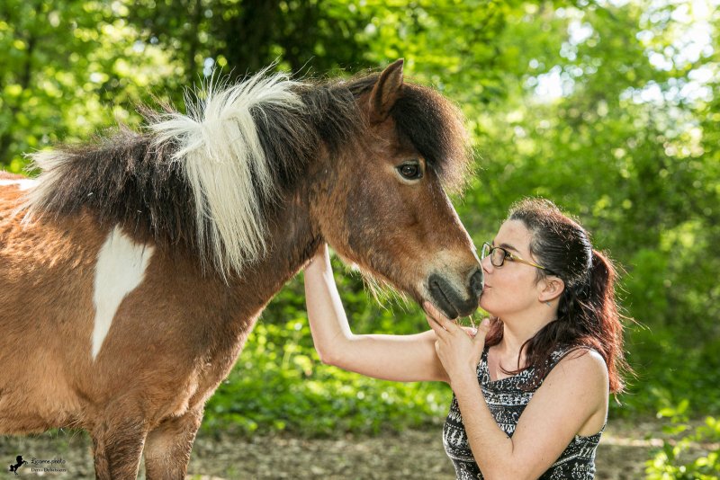 Photo de poney