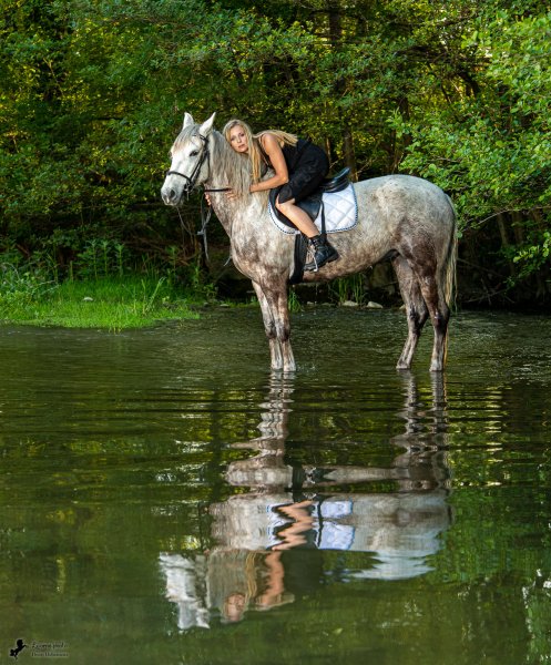 Séance photo cavalière cheval