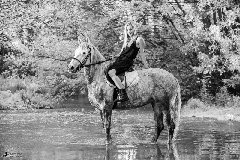 Séance photo cavalière cheval
