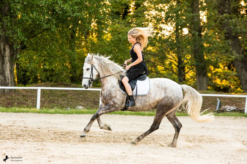 Séance photo cavalière cheval